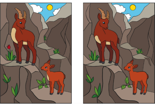 Найди 12 отличий Vorschau