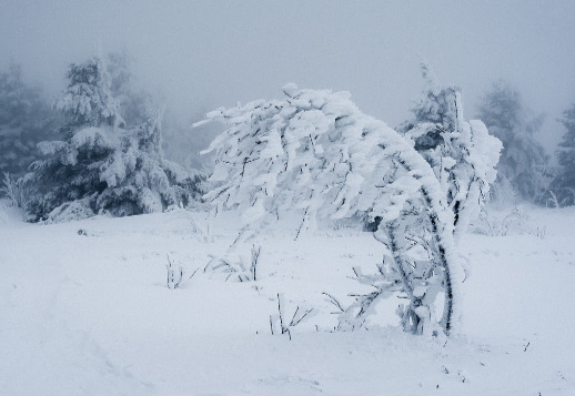 Клаус часть 5: Следы на снегу Vorschau