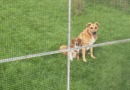 Марли - 3 часть Vorschau