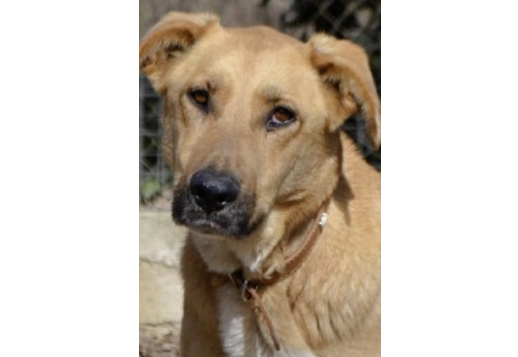 Марли - 1 часть Vorschau