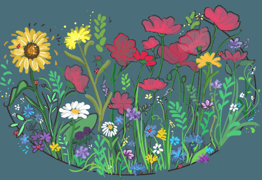 Найди божьих коровок! Vorschau