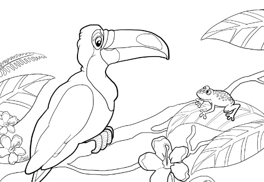 Нарисуй Тукана! Vorschau