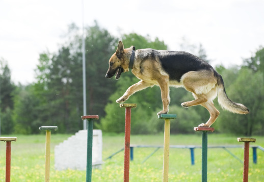 Супер-нос! - 2 часть Vorschau