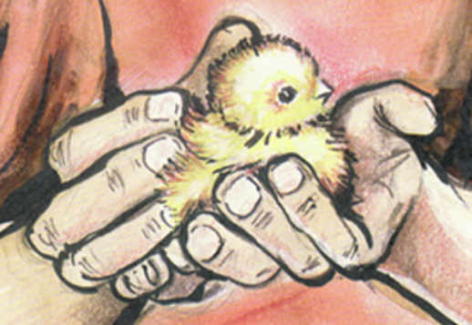 Происшествие на ферме Vorschau